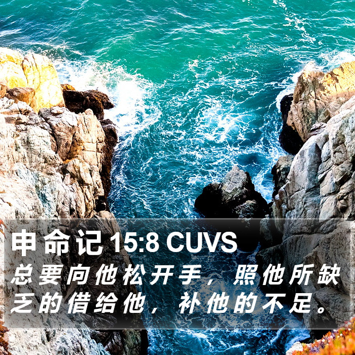 申 命 记 15:8 CUVS Bible Study