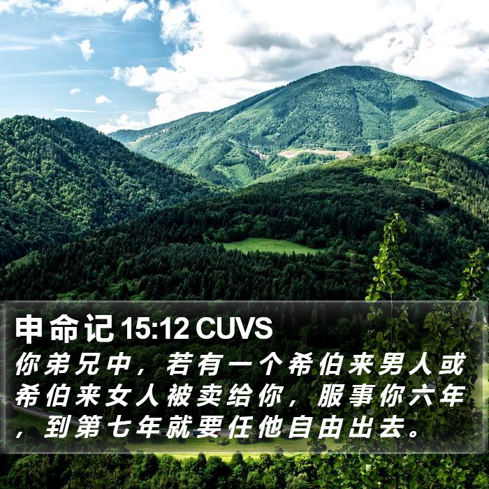 申 命 记 15:12 CUVS Bible Study