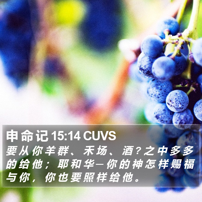 申 命 记 15:14 CUVS Bible Study