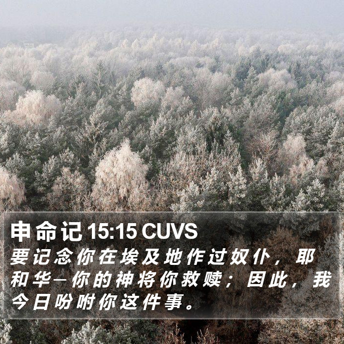 申 命 记 15:15 CUVS Bible Study