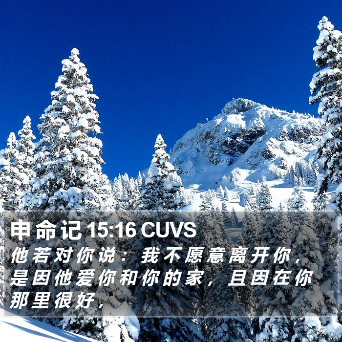 申 命 记 15:16 CUVS Bible Study