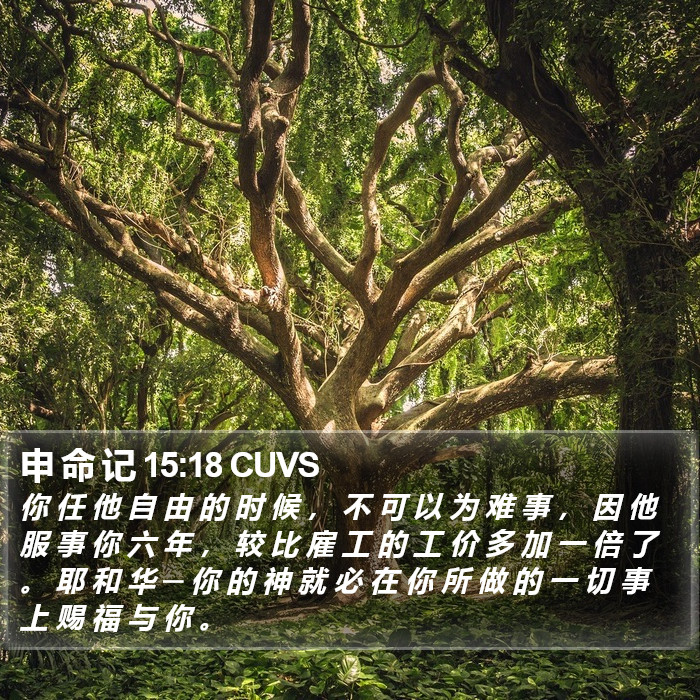 申 命 记 15:18 CUVS Bible Study