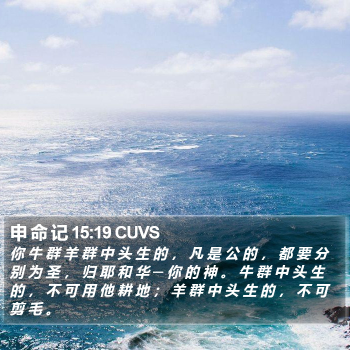 申 命 记 15:19 CUVS Bible Study