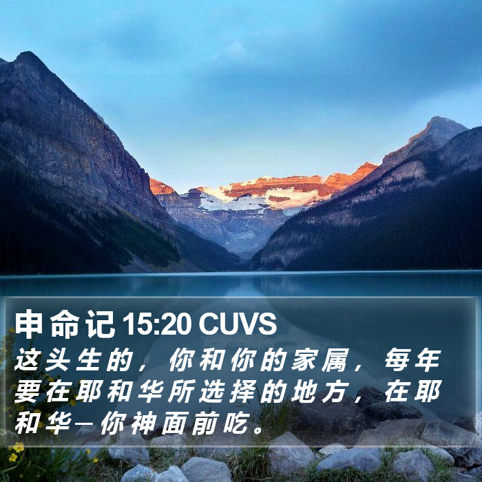 申 命 记 15:20 CUVS Bible Study