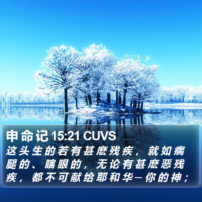 申 命 记 15:21 CUVS Bible Study