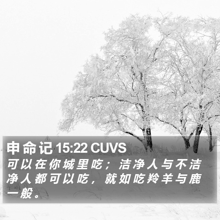 申 命 记 15:22 CUVS Bible Study