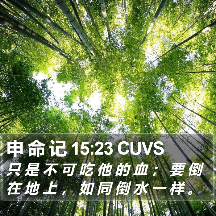 申 命 记 15:23 CUVS Bible Study