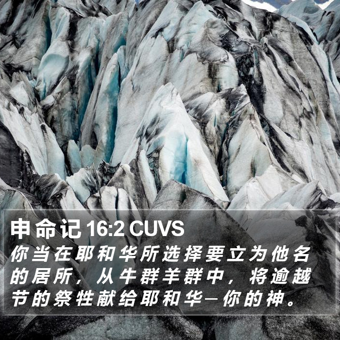 申 命 记 16:2 CUVS Bible Study