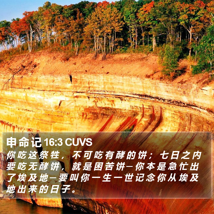 申 命 记 16:3 CUVS Bible Study
