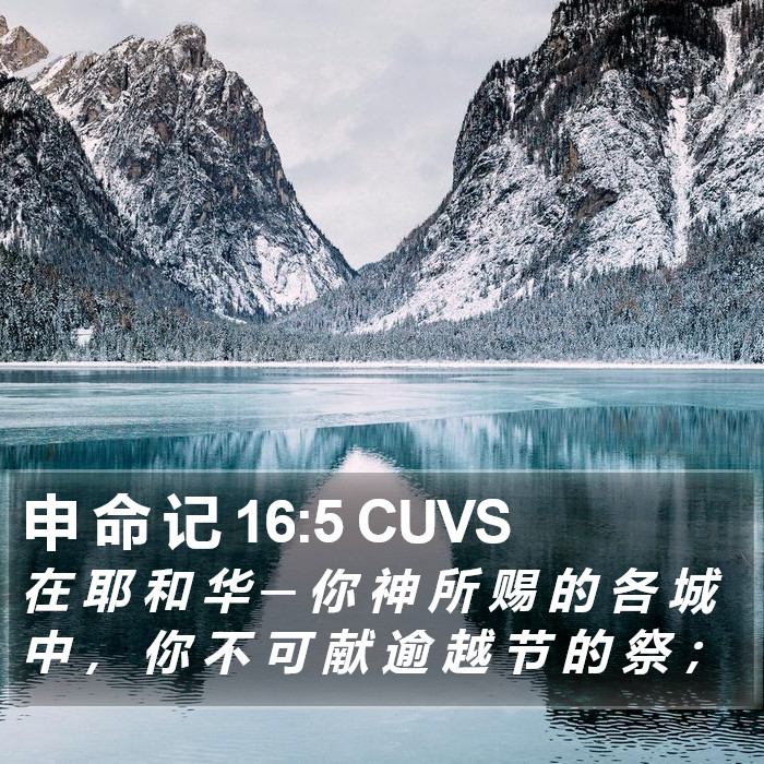 申 命 记 16:5 CUVS Bible Study