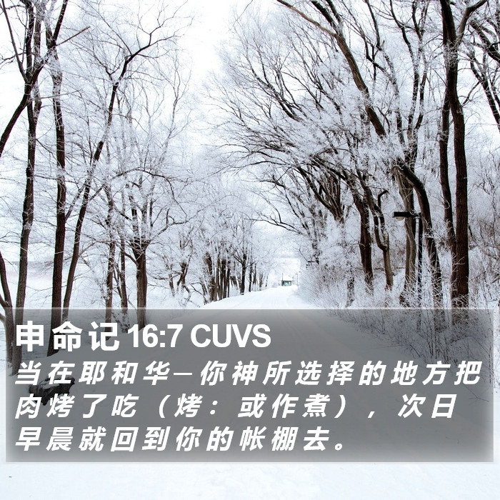申 命 记 16:7 CUVS Bible Study