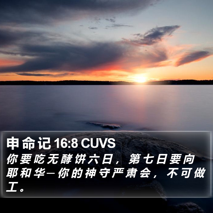 申 命 记 16:8 CUVS Bible Study