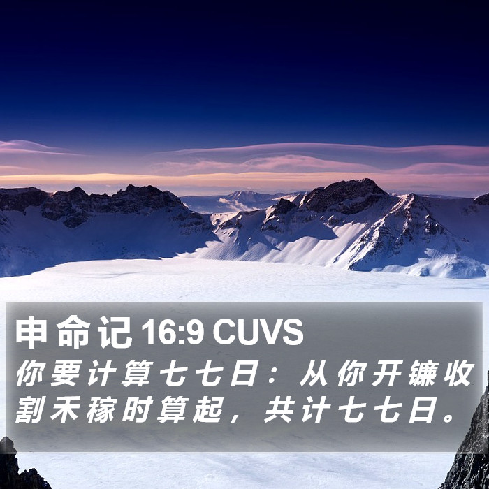 申 命 记 16:9 CUVS Bible Study