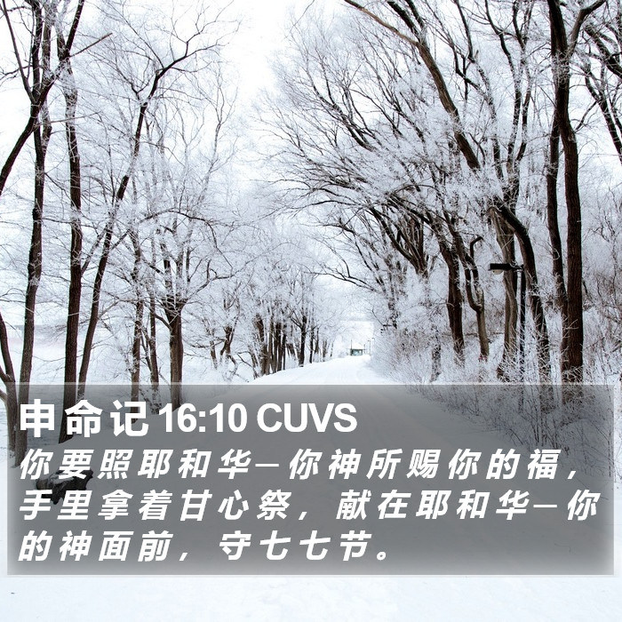 申 命 记 16:10 CUVS Bible Study