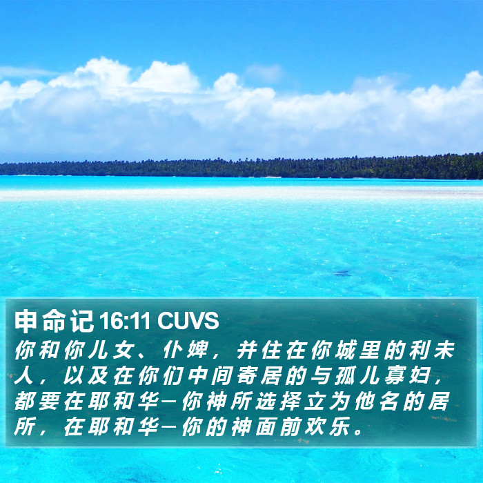 申 命 记 16:11 CUVS Bible Study