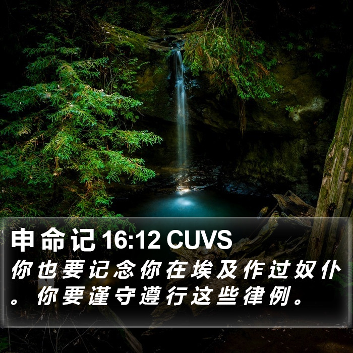 申 命 记 16:12 CUVS Bible Study