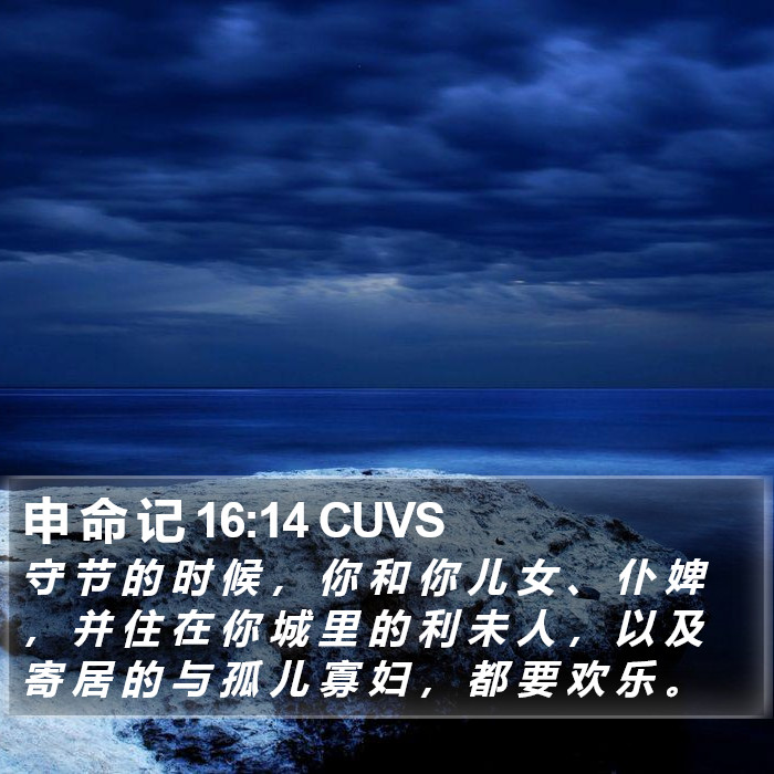 申 命 记 16:14 CUVS Bible Study