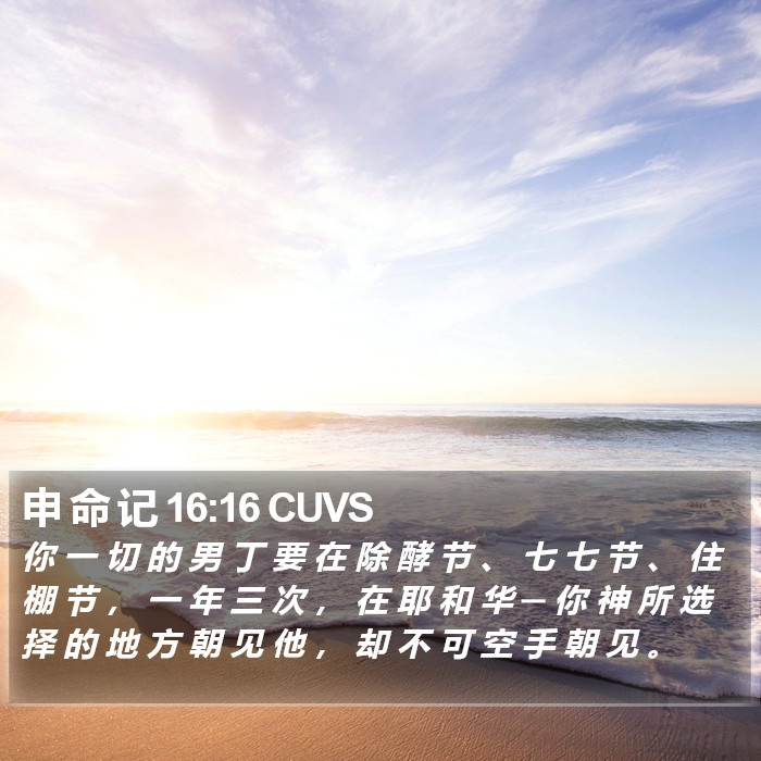申 命 记 16:16 CUVS Bible Study