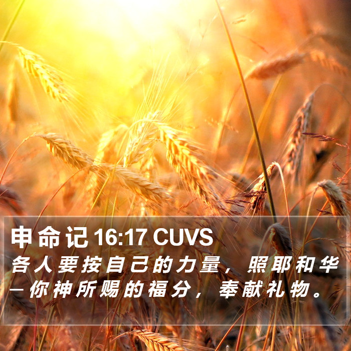 申 命 记 16:17 CUVS Bible Study