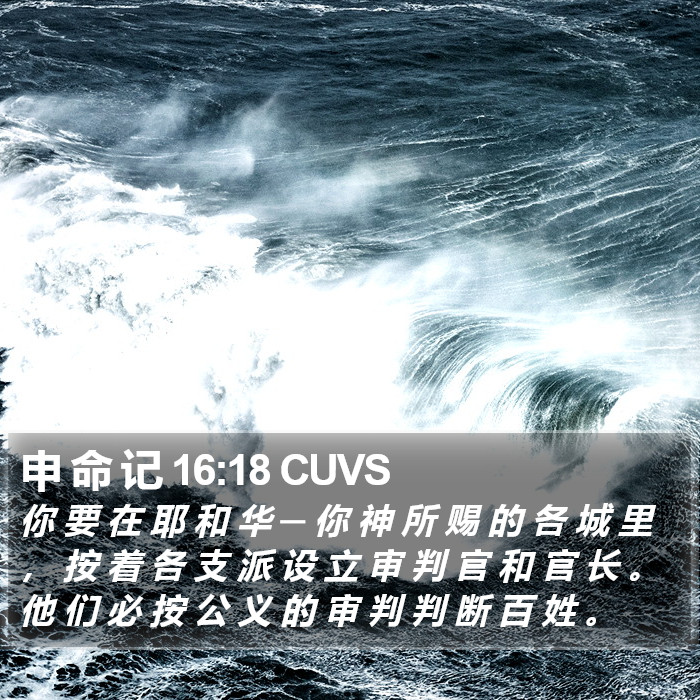 申 命 记 16:18 CUVS Bible Study