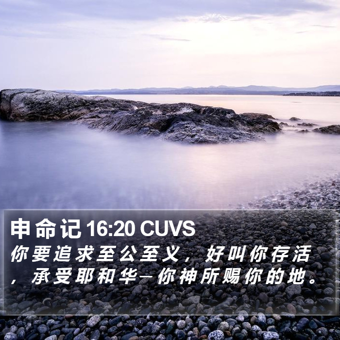 申 命 记 16:20 CUVS Bible Study