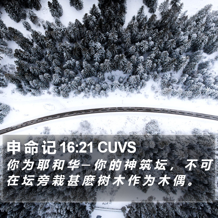 申 命 记 16:21 CUVS Bible Study
