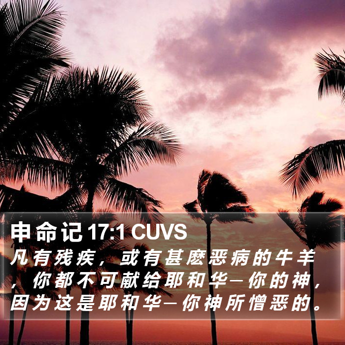 申 命 记 17:1 CUVS Bible Study