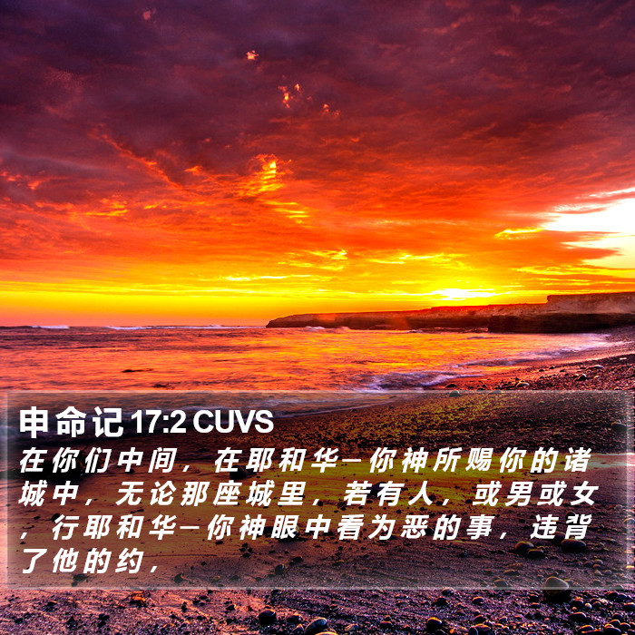 申 命 记 17:2 CUVS Bible Study