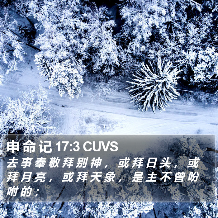 申 命 记 17:3 CUVS Bible Study