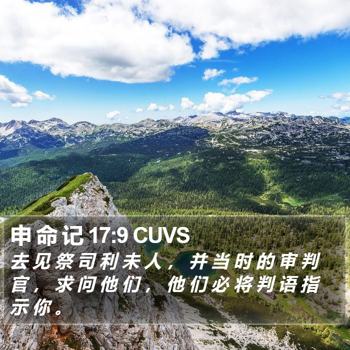 申 命 记 17:9 CUVS Bible Study