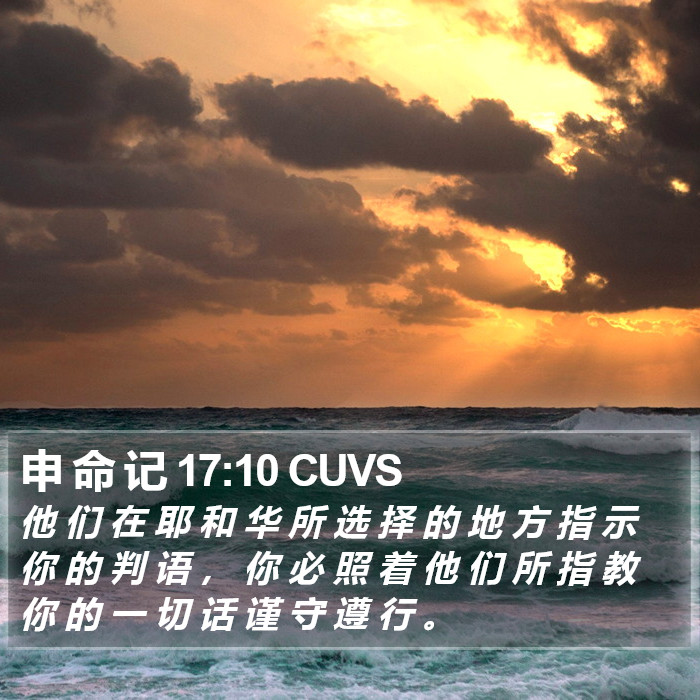 申 命 记 17:10 CUVS Bible Study
