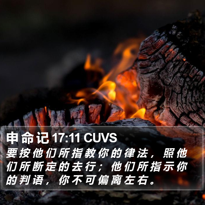 申 命 记 17:11 CUVS Bible Study