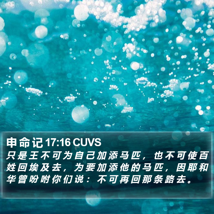 申 命 记 17:16 CUVS Bible Study