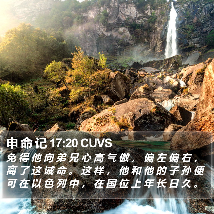 申 命 记 17:20 CUVS Bible Study