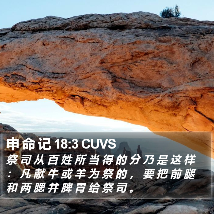申 命 记 18:3 CUVS Bible Study