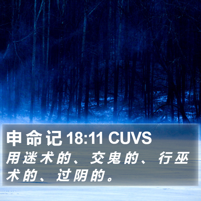 申 命 记 18:11 CUVS Bible Study