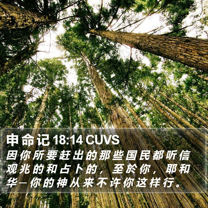 申 命 记 18:14 CUVS Bible Study