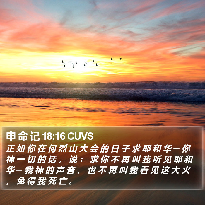 申 命 记 18:16 CUVS Bible Study