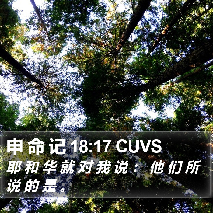 申 命 记 18:17 CUVS Bible Study