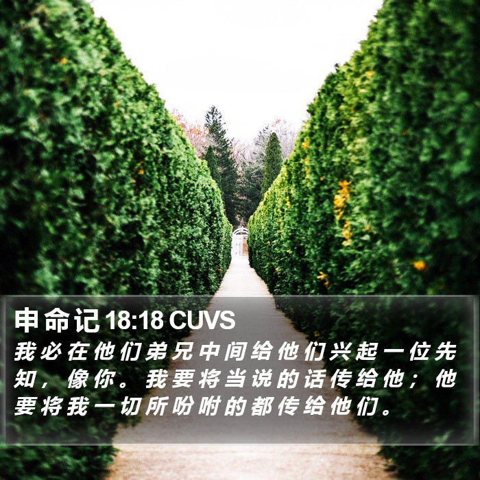 申 命 记 18:18 CUVS Bible Study