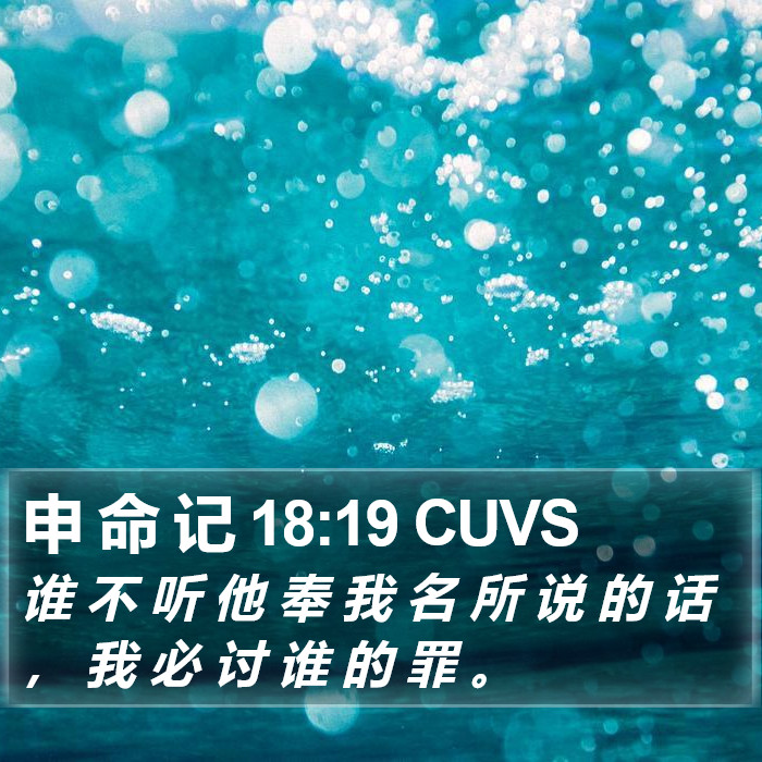 申 命 记 18:19 CUVS Bible Study