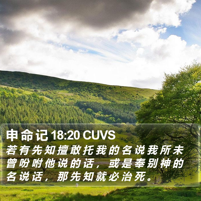 申 命 记 18:20 CUVS Bible Study
