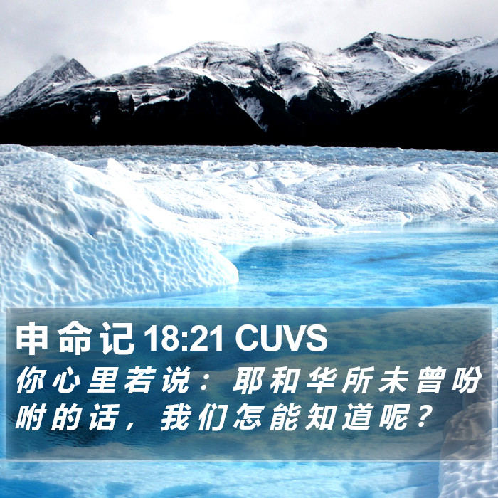 申 命 记 18:21 CUVS Bible Study