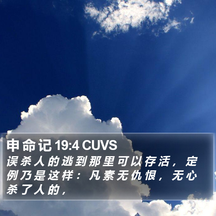 申 命 记 19:4 CUVS Bible Study