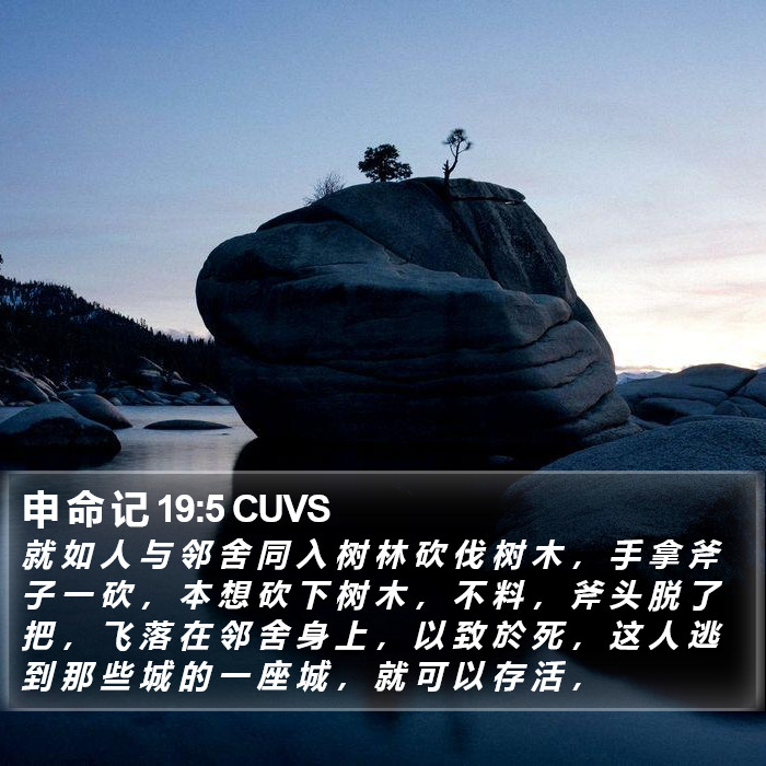 申 命 记 19:5 CUVS Bible Study
