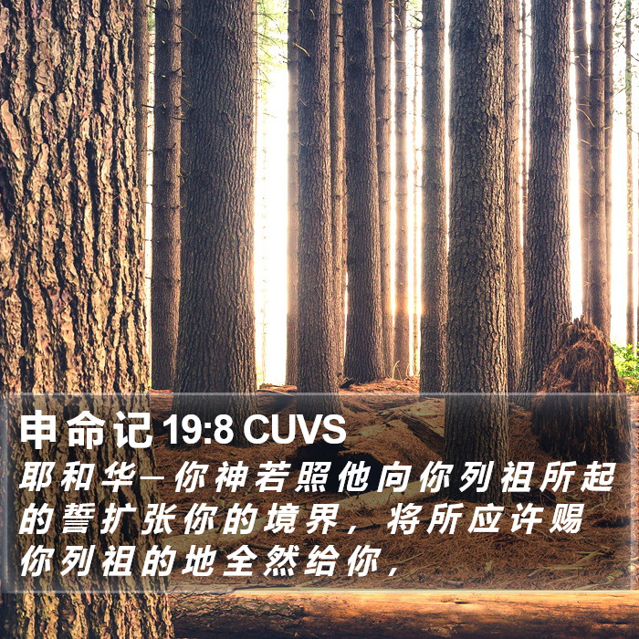 申 命 记 19:8 CUVS Bible Study