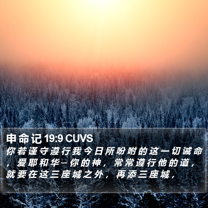 申 命 记 19:9 CUVS Bible Study