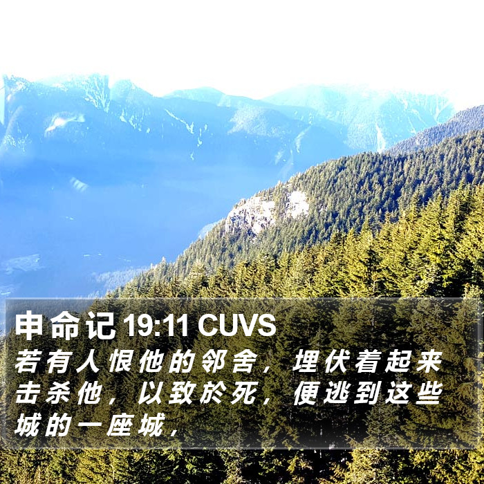 申 命 记 19:11 CUVS Bible Study