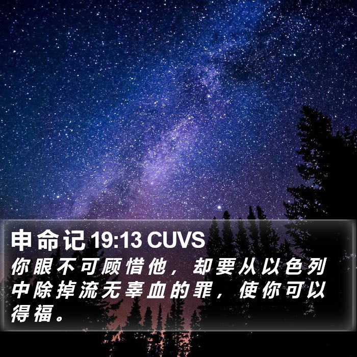 申 命 记 19:13 CUVS Bible Study