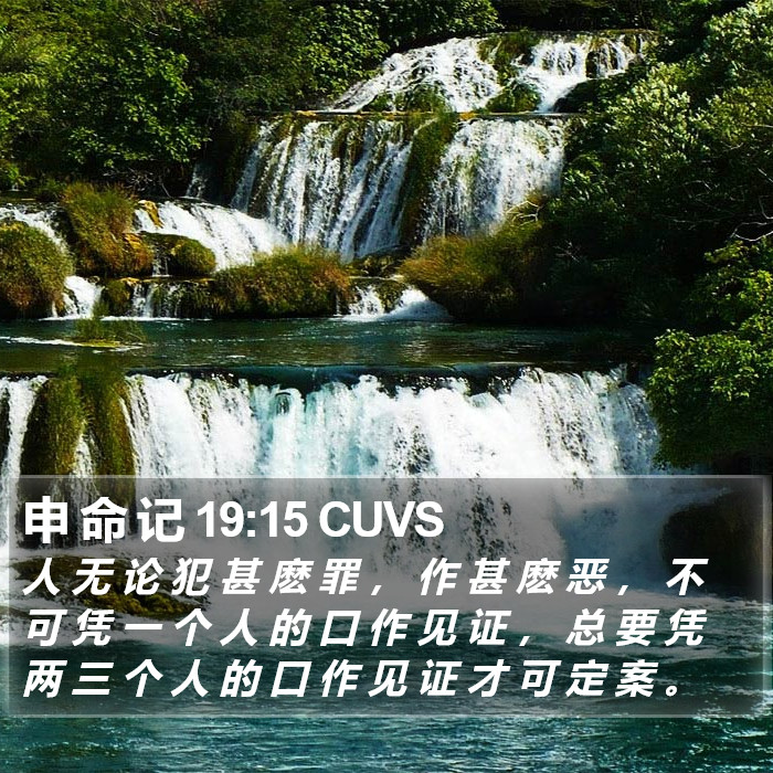 申 命 记 19:15 CUVS Bible Study